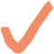 Orange checkmark icon